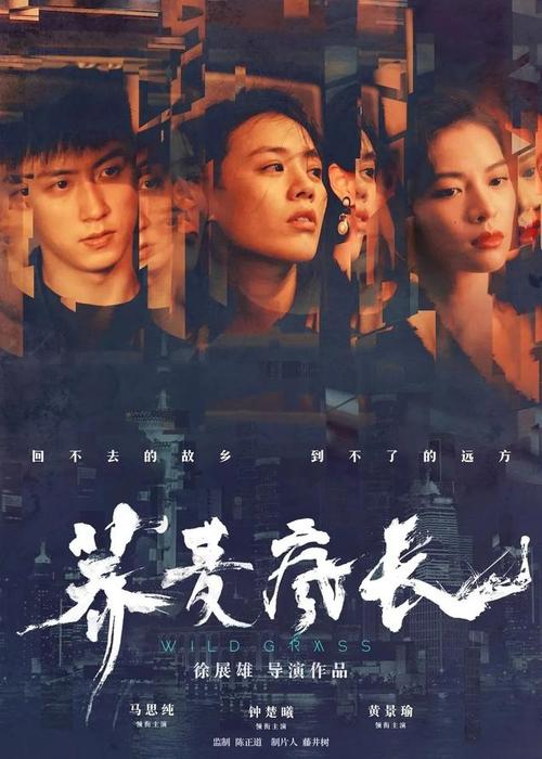 哪里能办理东帝汶驾驶证